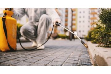 Disinfestazione adulticida in programma il 22 luglio